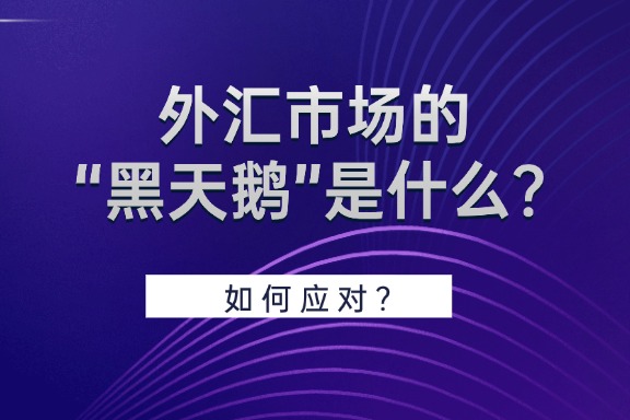 上海银之梦科技——外汇市场的“黑天鹅”是什么？如何应对？