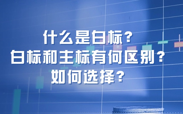 上海银之梦科技——什么是白标？白标和主标有何区别？如何选择？